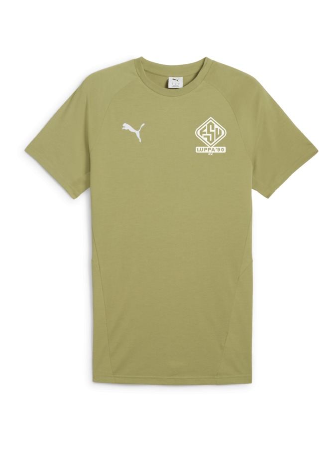 PUMA teamEVOSTRIPE T-Shirt