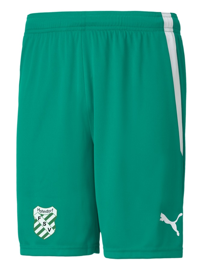 PUMA teamLIGA Shorts