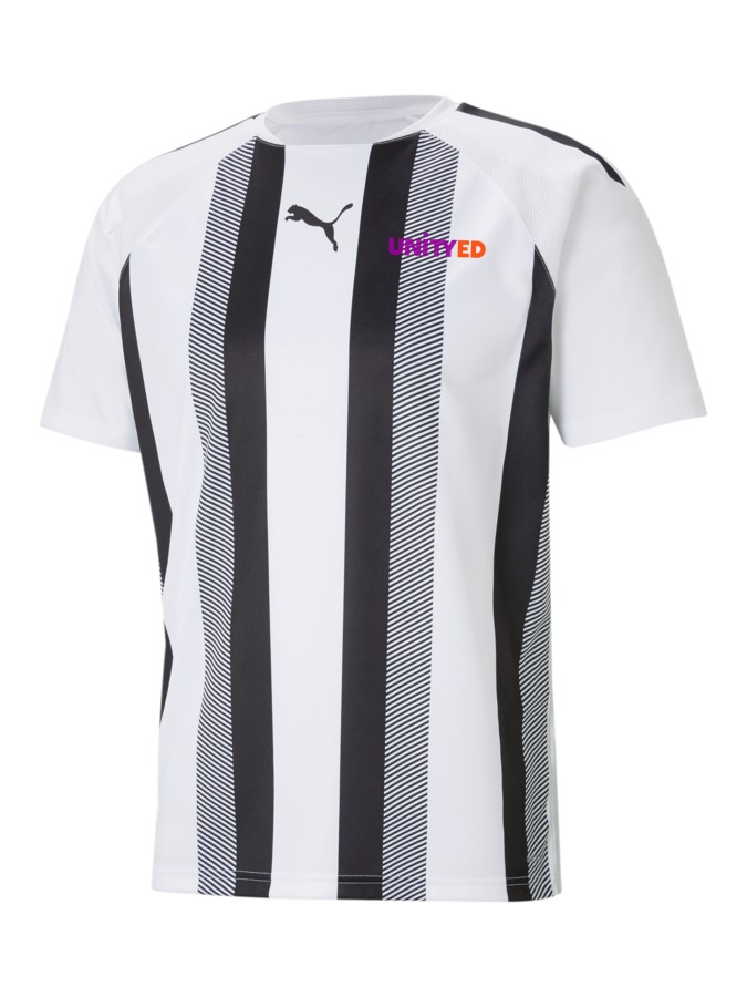 PUMA teamLIGA Striped Trikot