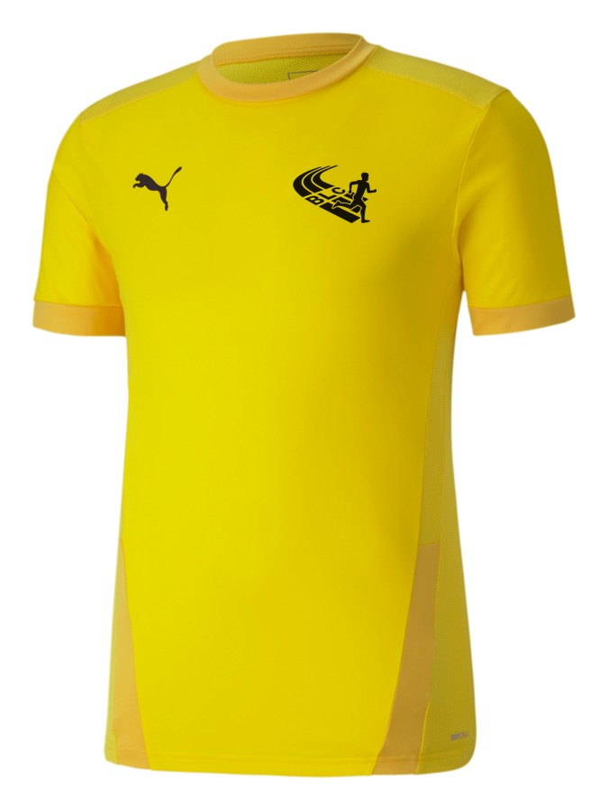 PUMA teamGOAL 23 Trikot