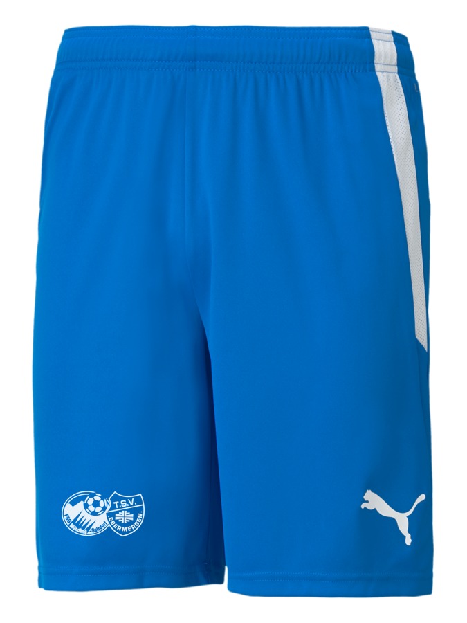 PUMA teamLIGA Shorts