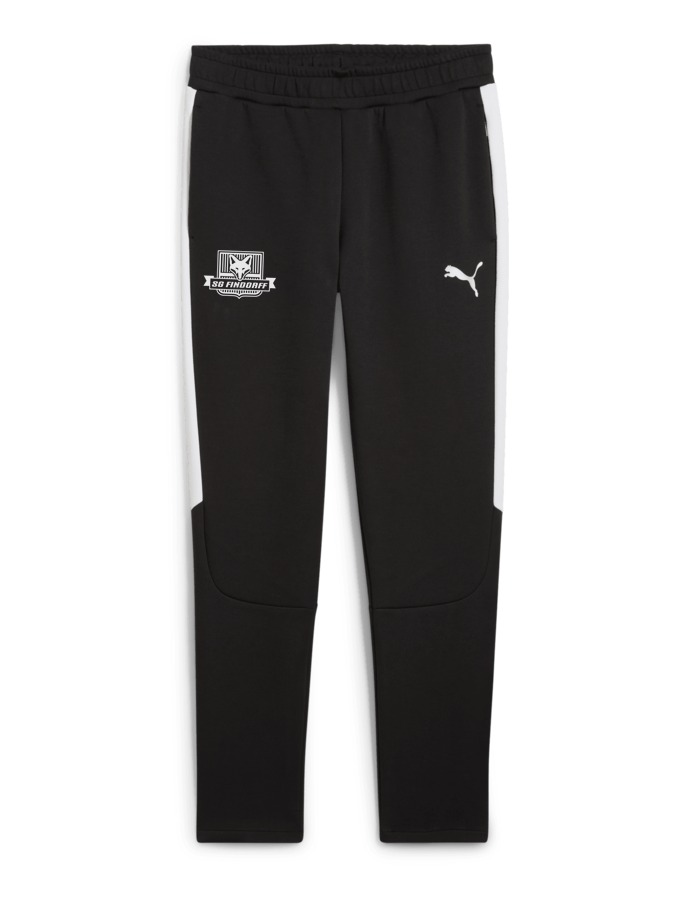PUMA teamEVOSTRIPE Hose