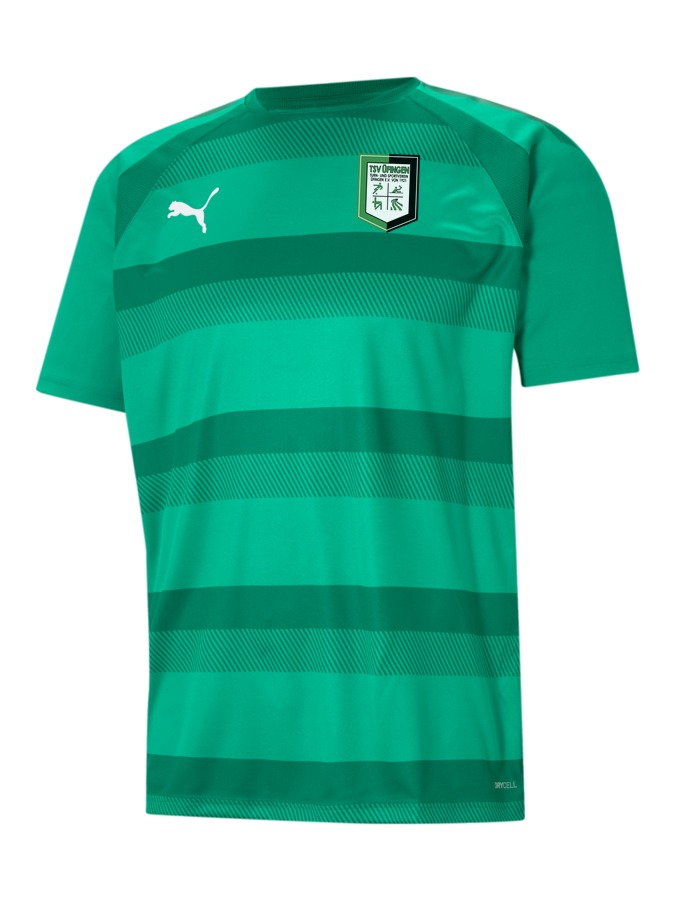 PUMA teamVISION Trikot