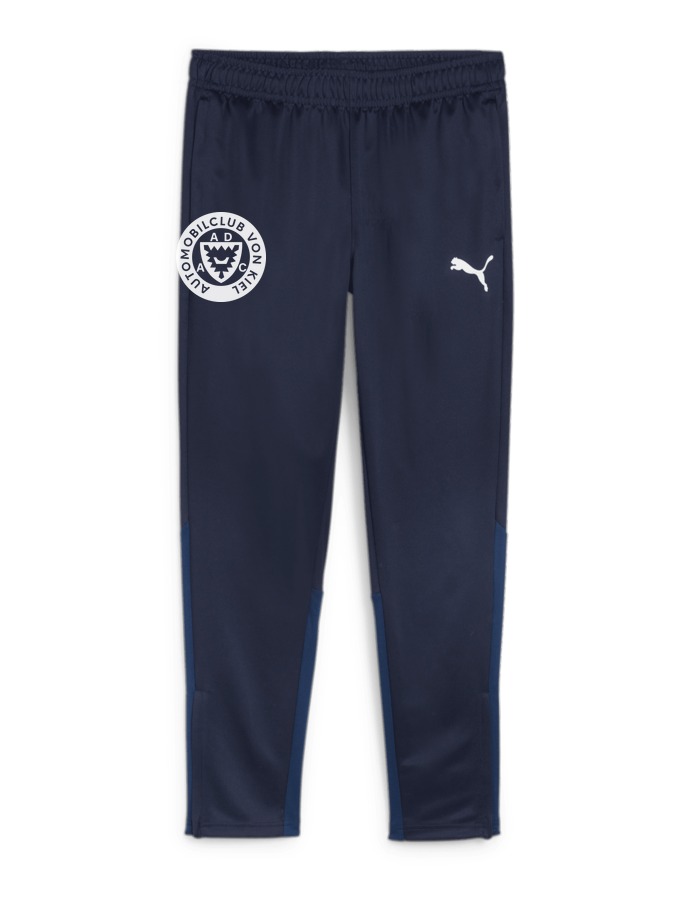 PUMA teamGOAL Trainingshose