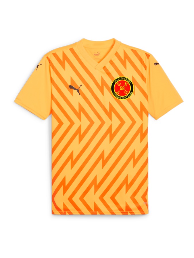 PUMA teamGLORY Trikot