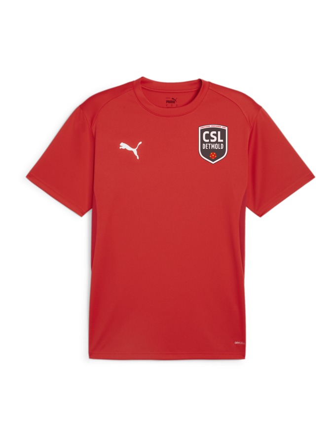 PUMA teamGOAL Trikot