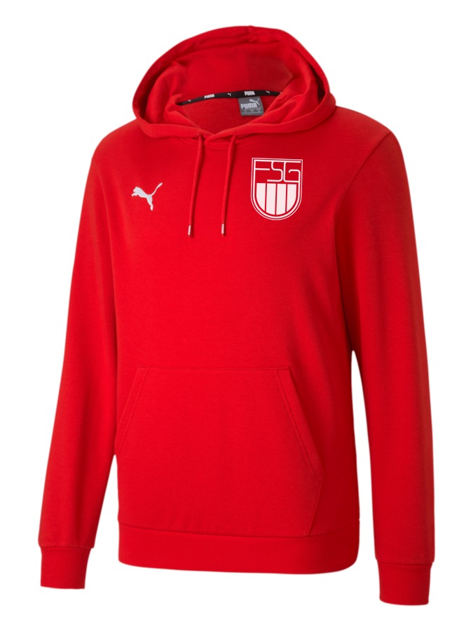 PUMA teamGOAL 23 Casuals Hoody