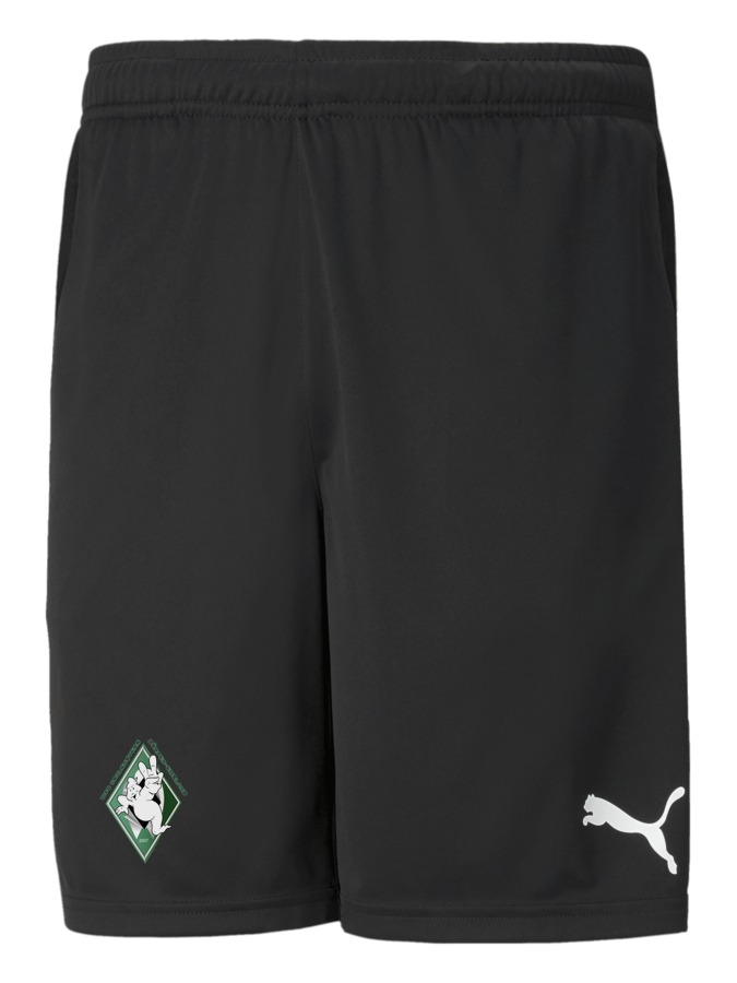PUMA teamRISE Training Shorts