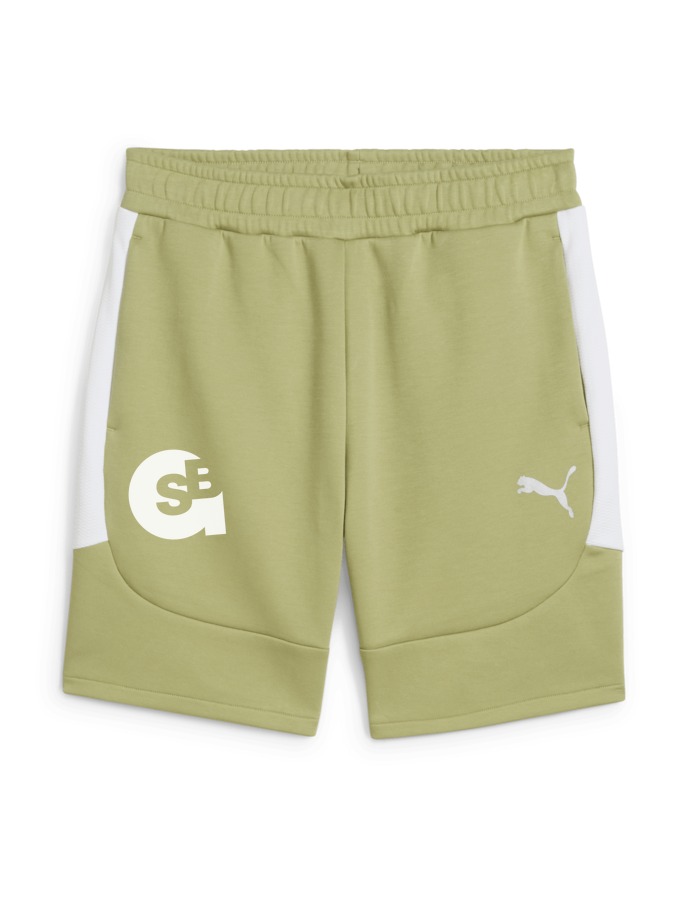 PUMA teamEVOSTRIPE Shorts