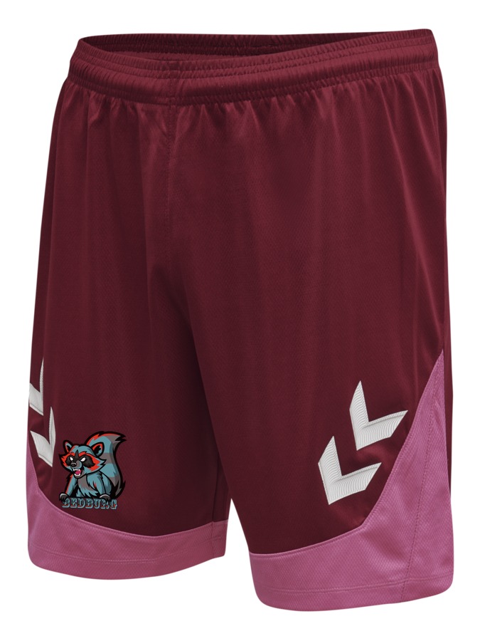 Hummel Lead Trainingsshorts