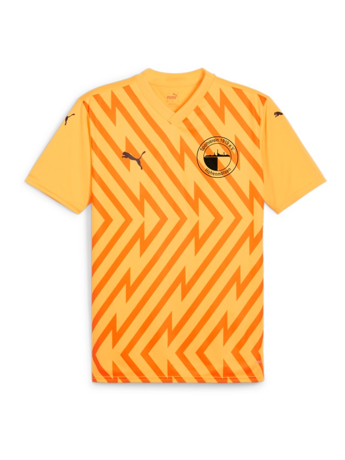PUMA teamGLORY Trikot