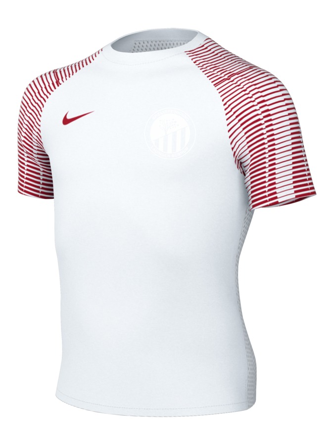 Nike Academy 22 Trikot Kinder