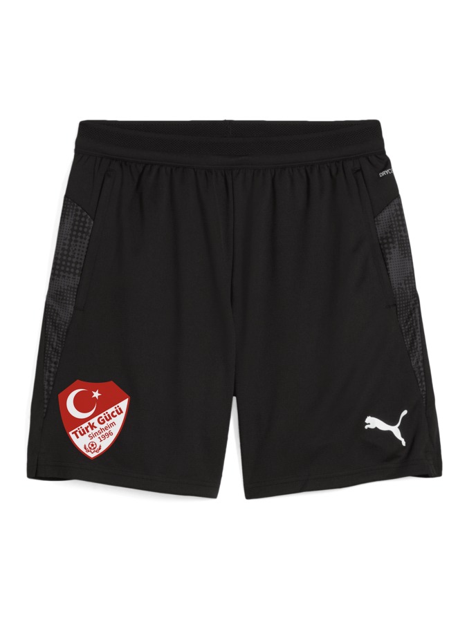 PUMA teamCUP Training Shorts