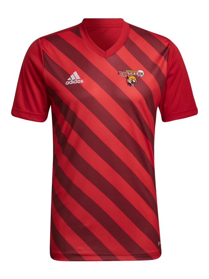 adidas Entrada 22 GFX Trikot