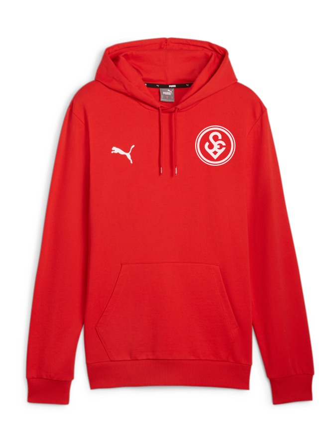 PUMA teamGOAL Casuals Hoody