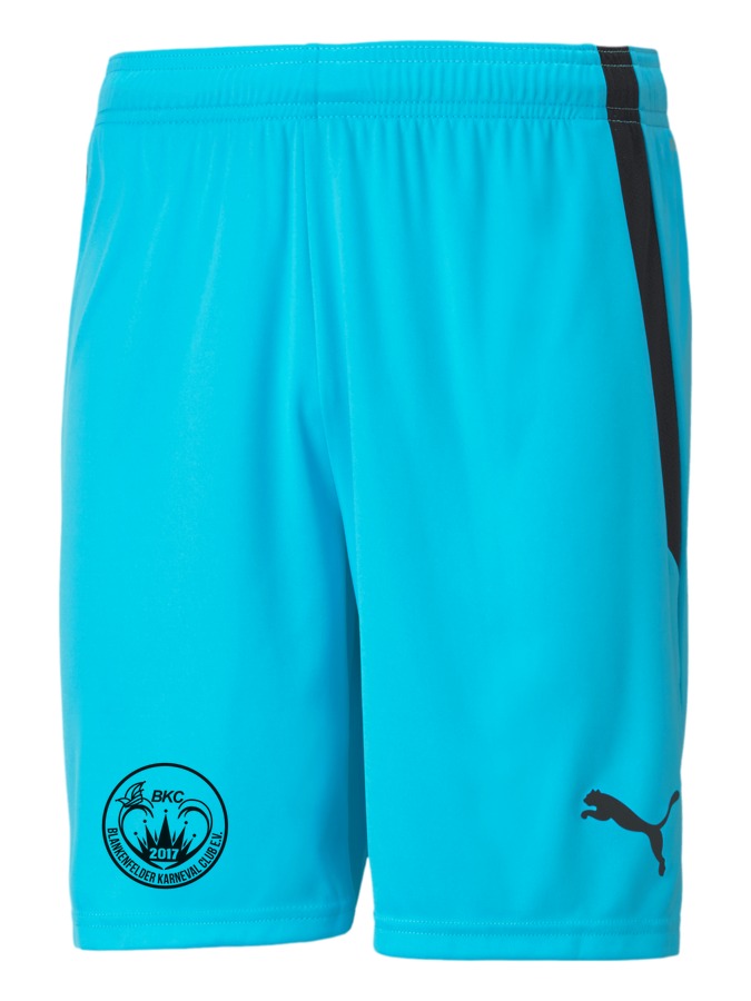 PUMA teamLIGA Shorts