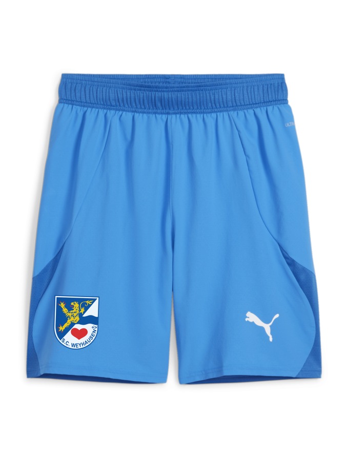 PUMA teamFINAL Shorts