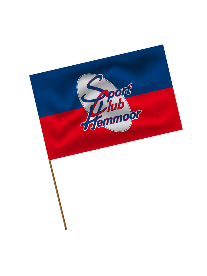Stadionfahne Logo