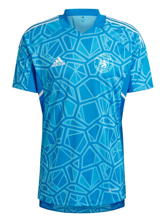 adidas Condivo 22 Torwarttrikot