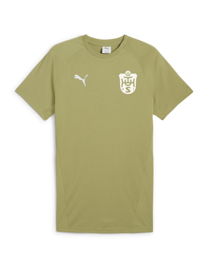 PUMA teamEVOSTRIPE T-Shirt