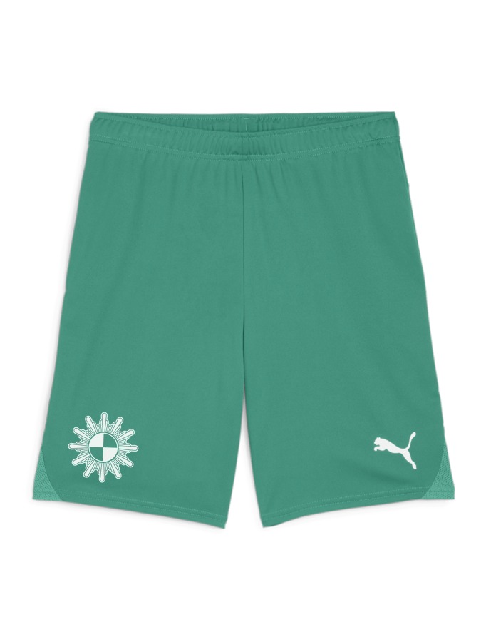PUMA teamGOAL Shorts