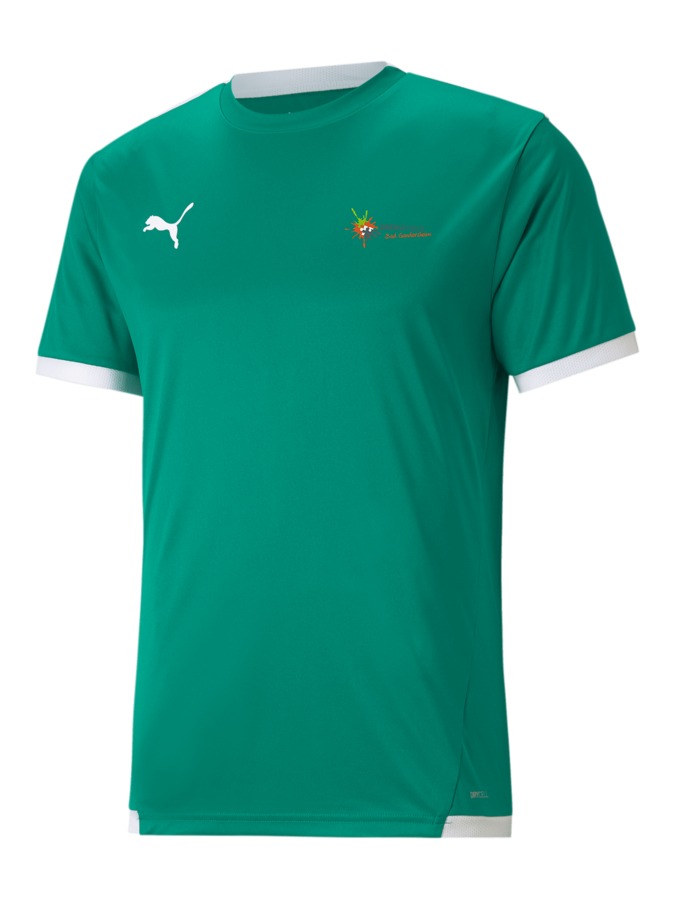 PUMA teamLIGA Trikot