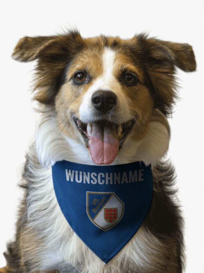 Hundehalstuch