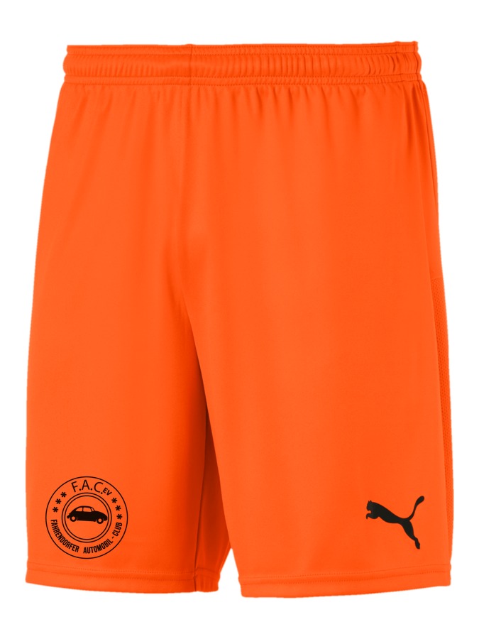 PUMA teamGOAL 23 Knit Shorts