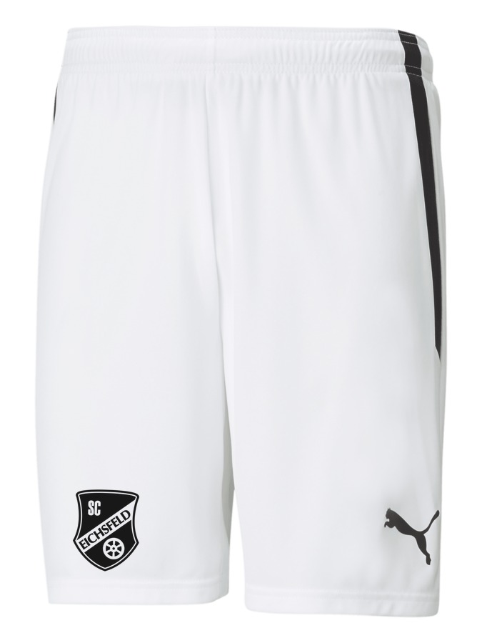PUMA teamLIGA Shorts