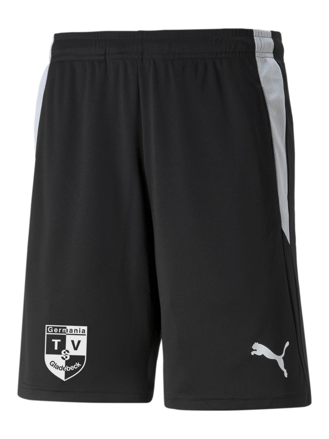 PUMA teamLIGA Referee Shorts