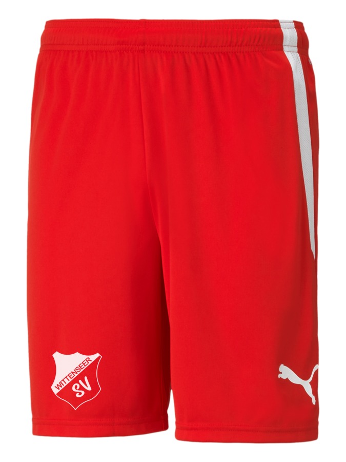 PUMA teamLIGA Shorts