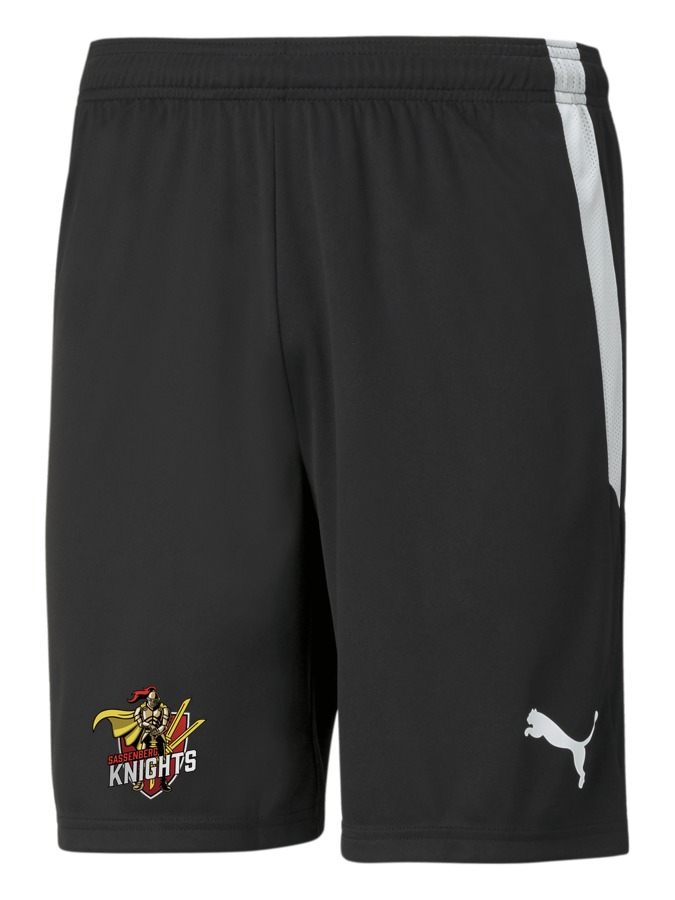 PUMA teamLIGA Shorts