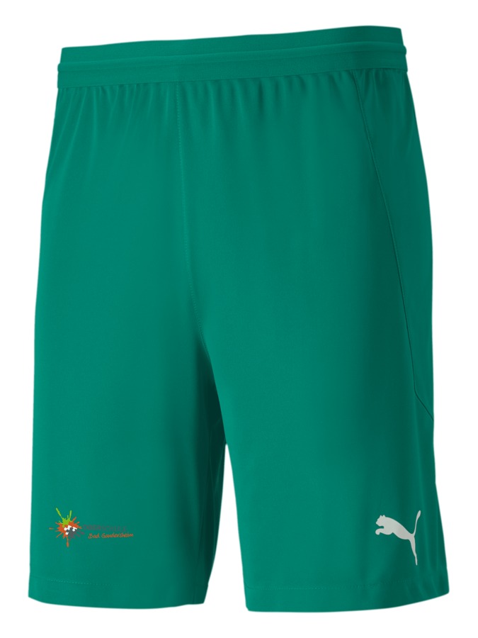 PUMA teamFINAL 21 Knit Shorts