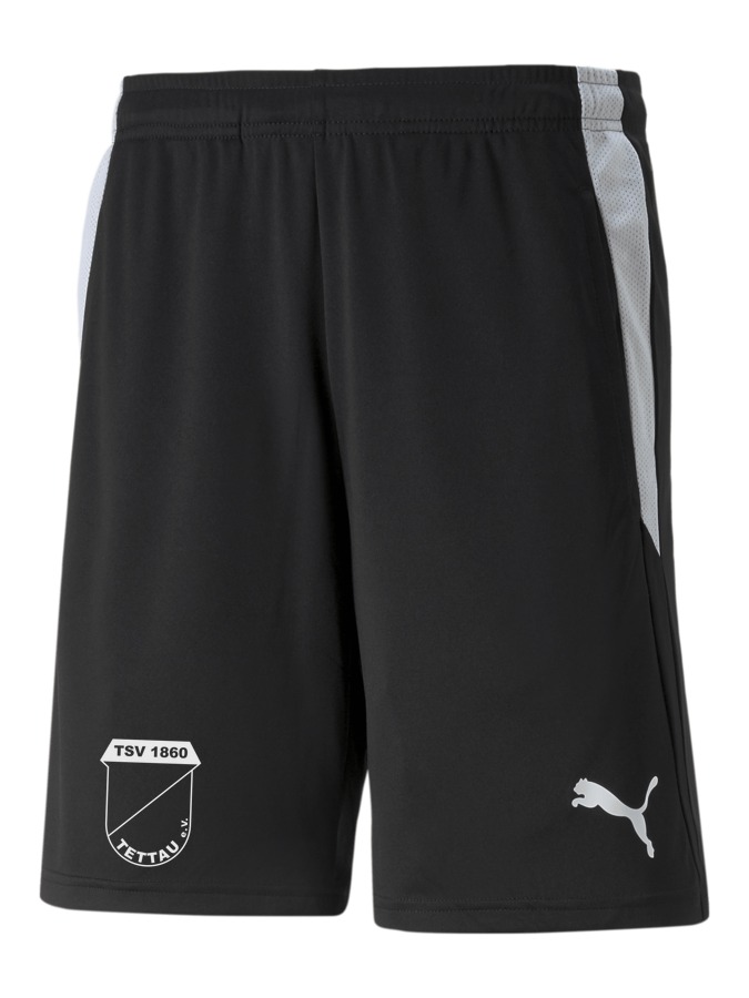 PUMA teamLIGA Referee Shorts