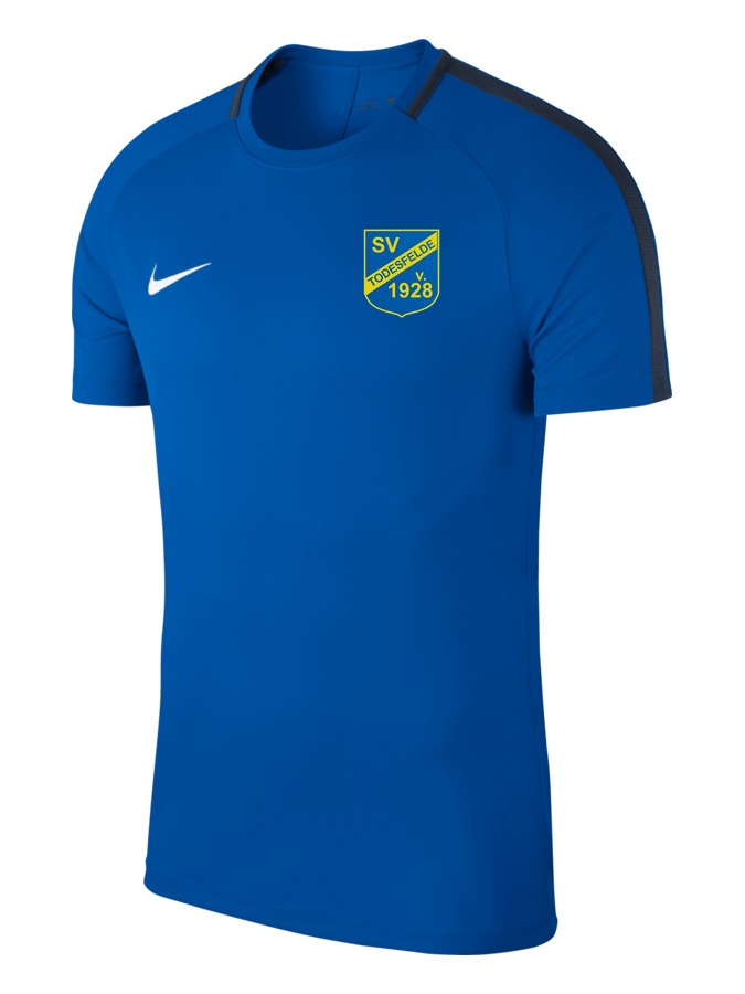 Nike Academy 18 Top