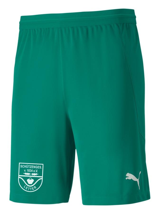 PUMA teamFINAL 21 Knit Shorts