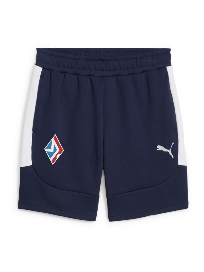 PUMA teamEVOSTRIPE Shorts