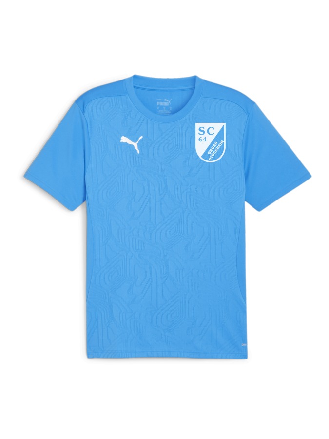 PUMA teamFINAL Trainingsshirt