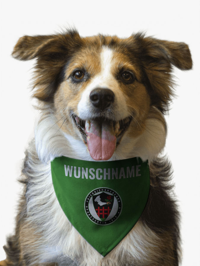 Hundehalstuch