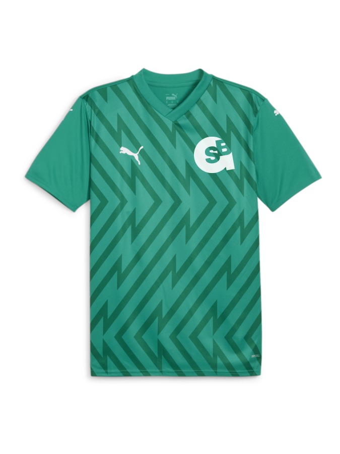 PUMA teamGLORY Trikot