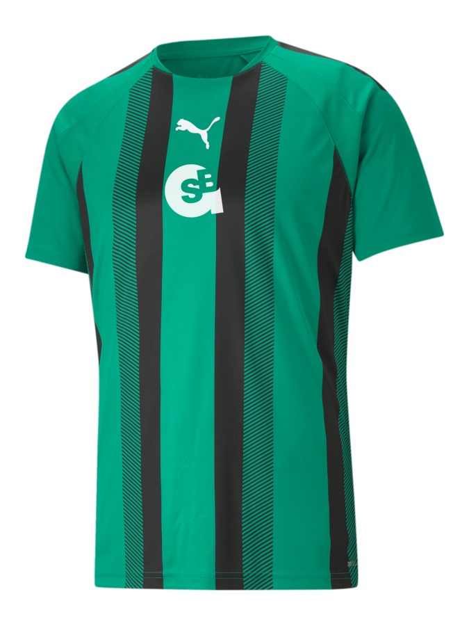 PUMA teamLIGA Striped Trikot