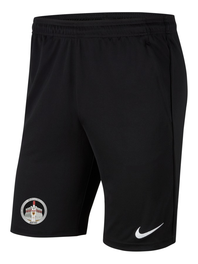 Nike Park 20 Knit Shorts