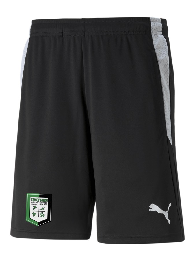 PUMA teamLIGA Referee Shorts