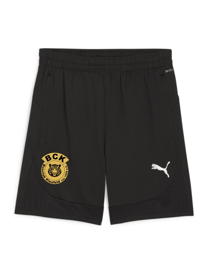 PUMA teamFINAL Training Shorts