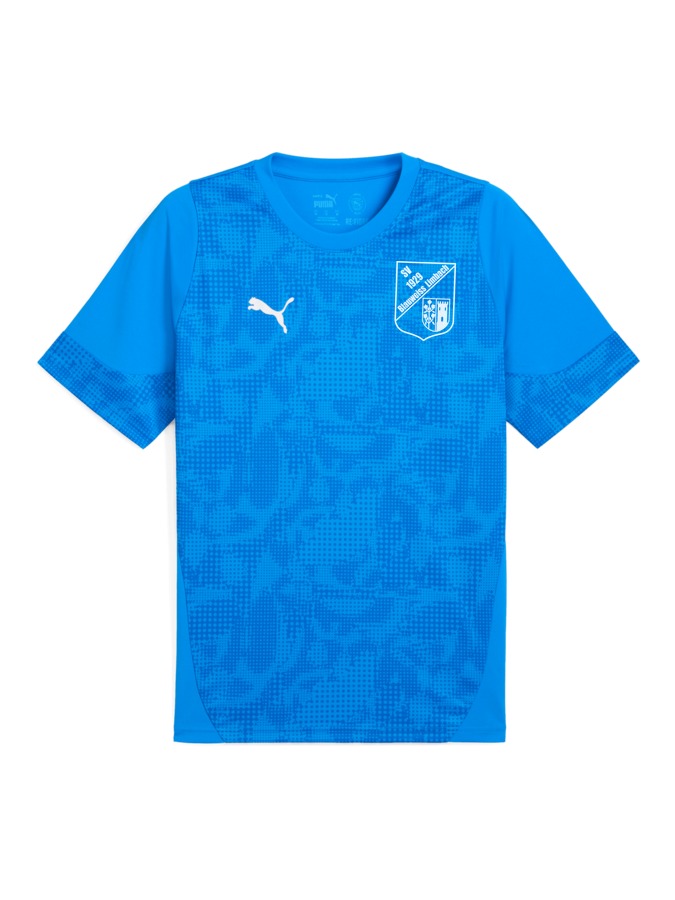 PUMA teamCUP Trainingsshirt