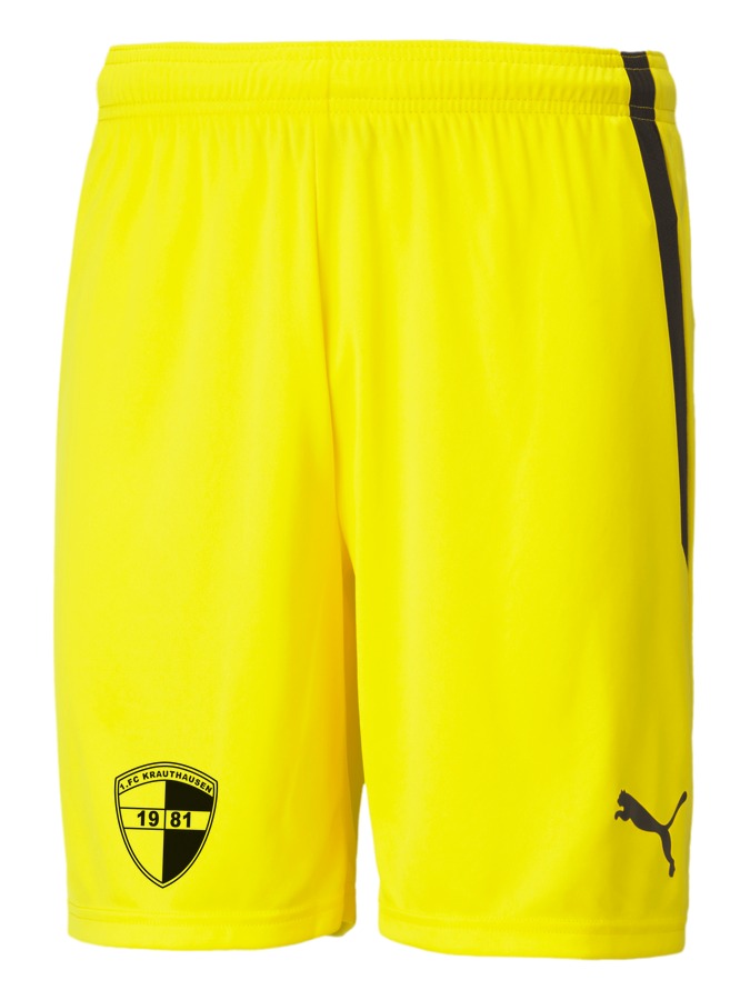 PUMA teamLIGA Shorts