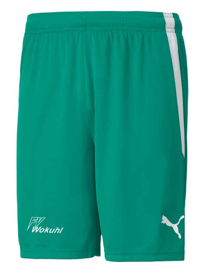 PUMA teamLIGA Shorts
