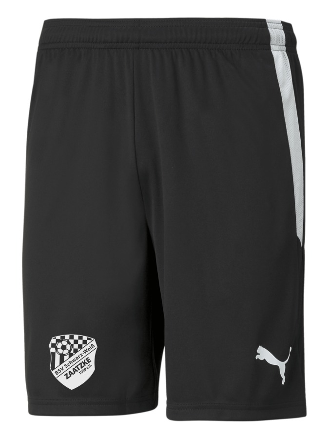 PUMA teamLIGA Shorts