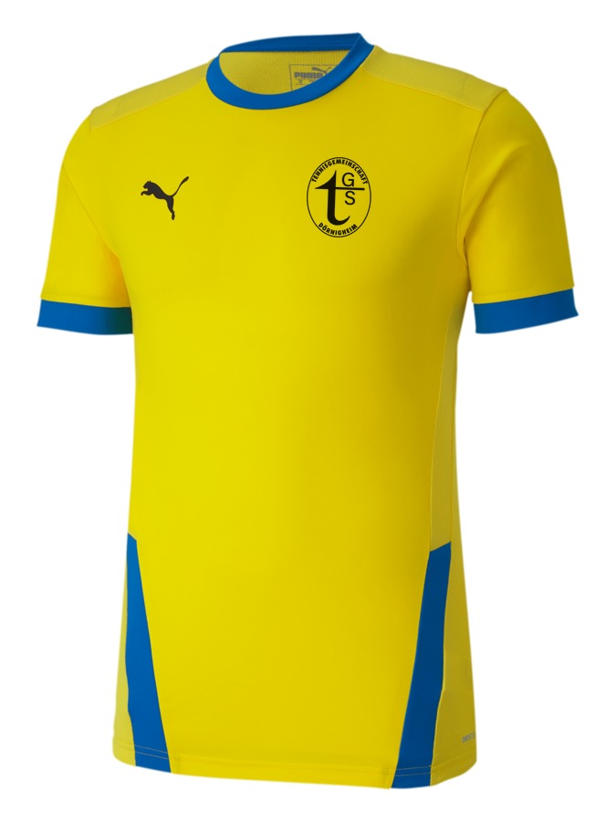PUMA teamGOAL 23 Trikot