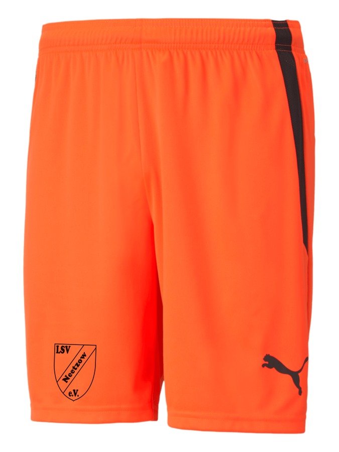 PUMA teamLIGA Shorts